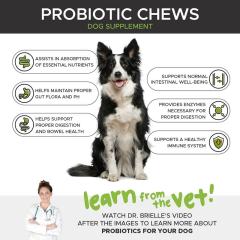 OEM Factory Probiotic Chews For Dogs 6 Billion CFU Per Serving Digestive Health Immune Support Nutrient Absorption Skin Coat Support Itchy Skin Relief Seasonal Allergies Carrot Pumpkin Sweet Potato Flaxseed Chicken Flavor 100 Chews,MY SHOP,OEM Factory Probiotic Chews For Dogs 6 Billion CFU Per Serving Digestive Health Immune Support Nutrient Absorption Skin Coat Support Itchy Skin Relief Seasonal Allergies Carrot Pumpkin Sweet Potato Flaxseed Chicken Flavor 100 Chews