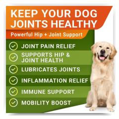 OEM Factory Hip Joint Hemp Chews For Dogs Glucosamine Chondroitin Advanced Mobility Formula Joint Pain Relief Lubricates Joints Inflammation Relief Immune Support Bacon Flavor 120 Soft Chews 360g,MY SHOP,OEM Factory Hip Joint Hemp Chews For Dogs Glucosamine Chondroitin Advanced Mobility Formula Joint Pain Relief Lubricates Joints Inflammation Relief Immune Support Bacon Flavor 120 Soft Chews 360g