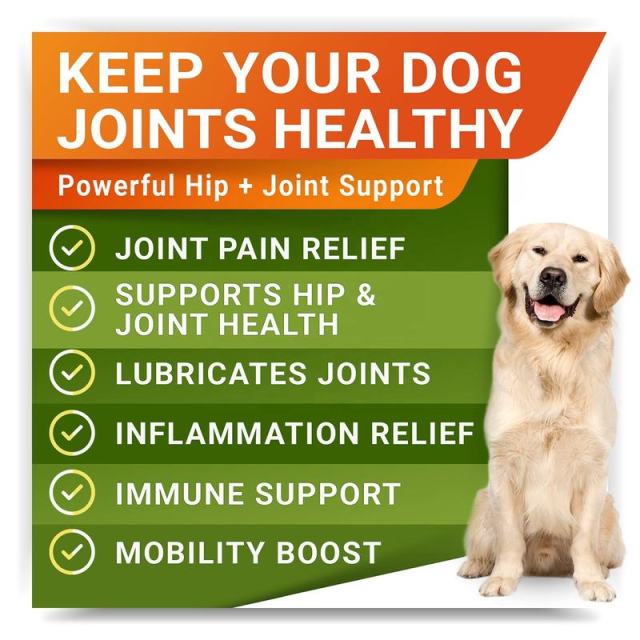 OEM Factory Hip Joint Hemp Chews For Dogs Glucosamine Chondroitin Advanced Mobility Formula Joint Pain Relief Lubricates Joints Inflammation Relief Immune Support Bacon Flavor 120 Soft Chews 360g,MY SHOP,OEM Factory Hip Joint Hemp Chews For Dogs Glucosamine Chondroitin Advanced Mobility Formula Joint Pain Relief Lubricates Joints Inflammation Relief Immune Support Bacon Flavor 120 Soft Chews 360g