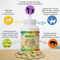 OEM Factory Multi Vitamin Daily Supplement For Dogs Cats Vitamins A C D E B Complex Minerals Amino Acids Folic Acid Supports Immune System Peak Condition Prenatal Reproduction Lactation Senior Health All Ages Breeds Sizes 60 Tablets 116g,MY SHOP,OEM Factory Multi Vitamin Daily Supplement For Dogs Cats Vitamins A C D E B Complex Minerals Amino Acids Folic Acid Supports Immune System Peak Condition Prenatal Reproduction Lactation Senior Health All Ages Breeds Sizes 60 Tablets 116g