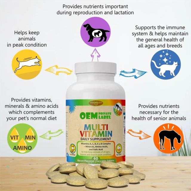 OEM Factory Multi Vitamin Daily Supplement For Dogs Cats Vitamins A C D E B Complex Minerals Amino Acids Folic Acid Supports Immune System Peak Condition Prenatal Reproduction Lactation Senior Health All Ages Breeds Sizes 60 Tablets 116g,MY SHOP,OEM Factory Multi Vitamin Daily Supplement For Dogs Cats Vitamins A C D E B Complex Minerals Amino Acids Folic Acid Supports Immune System Peak Condition Prenatal Reproduction Lactation Senior Health All Ages Breeds Sizes 60 Tablets 116g