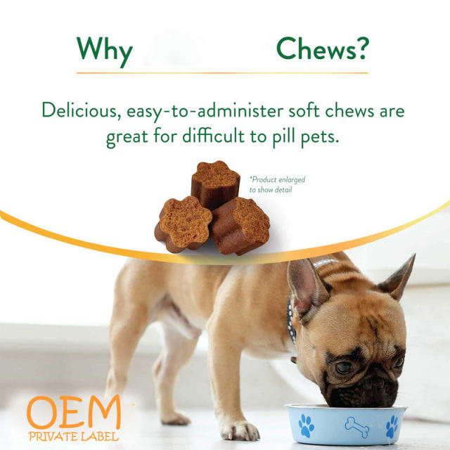OEM Factory Veterinary Eye Health Soft Chews For Dogs Mature Cats Grape Seed Extract Lutein Omega-3 Fatty Acids Optimal Vision Support Ocular Health Antioxidants Hypoallergenic No Wheat Corn Chicken 60 Chews,MY SHOP,OEM Factory Veterinary Eye Health Soft Chews For Dogs Mature Cats Grape Seed Extract Lutein Omega-3 Fatty Acids Optimal Vision Support Ocular Health Antioxidants Hypoallergenic No Wheat Corn Chicken 60 Chews