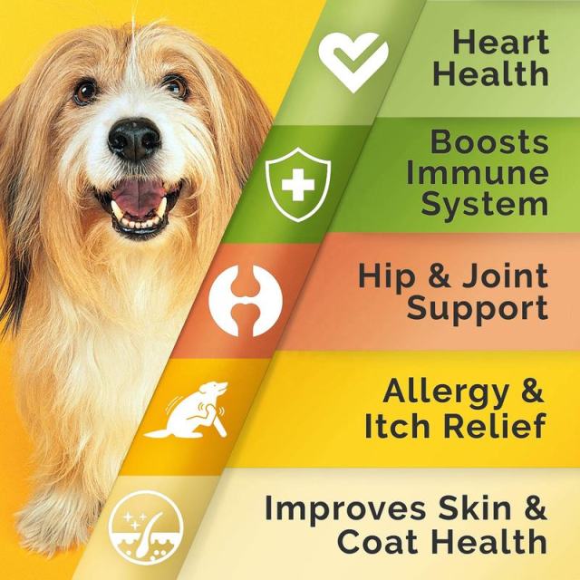 OEM Factory Omega Treats For Dogs Cats With Salmon Oil Omega-3 Omega-6 DHA EPA Low Filler Ingredients High Nutrition Content Promotes Healthy Skin Coat Joint Heart Brain Immune Support 180 Soft Chews,MY SHOP,OEM Factory Omega Treats For Dogs Cats With Salmon Oil Omega-3 Omega-6 DHA EPA Low Filler Ingredients High Nutrition Content Promotes Healthy Skin Coat Joint Heart Brain Immune Support 180 Soft Chews