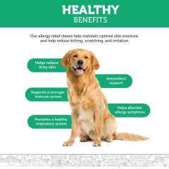 OEM Factory Omega 3 Plus Allergy Aid Soft Chews For Dogs Turmeric Root Grape Seed Extract Pumpkin Powder Supports Healthy Lungs Overall Skin Health Itch Relief Skin Condition Support 195g 60 Soft Chews,MY SHOP,OEM Factory Omega 3 Plus Allergy Aid Soft Chews For Dogs Turmeric Root Grape Seed Extract Pumpkin Powder Supports Healthy Lungs Overall Skin Health Itch Relief Skin Condition Support 195g 60 Soft Chews