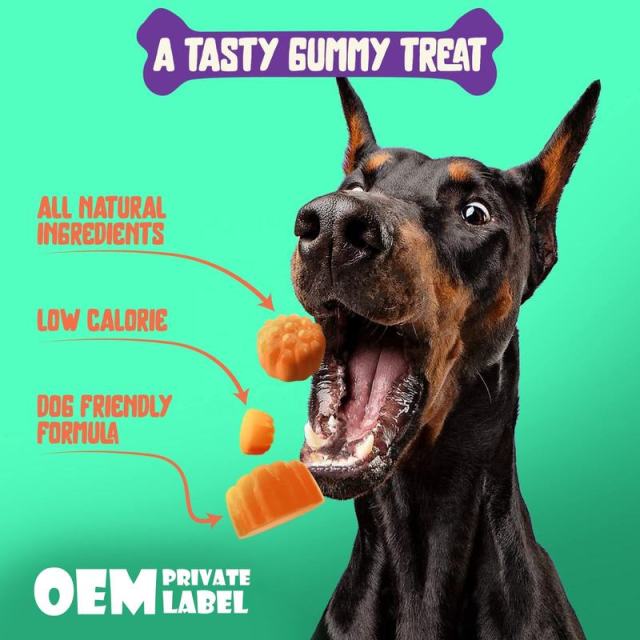 OEM Factory Hip Joint Gummies For Dogs Hydrolyzed Bovine Collagen Peptides 125mg DHA 50mg Omega-6 Omega-9 Natural Bacon Flavor Supports Joint Health Mobility Cartilage Comfort Flexible Function 60 Gummies,MY SHOP,OEM Factory Hip Joint Gummies For Dogs Hydrolyzed Bovine Collagen Peptides 125mg DHA 50mg Omega-6 Omega-9 Natural Bacon Flavor Supports Joint Health Mobility Cartilage Comfort Flexible Function 60 Gummies