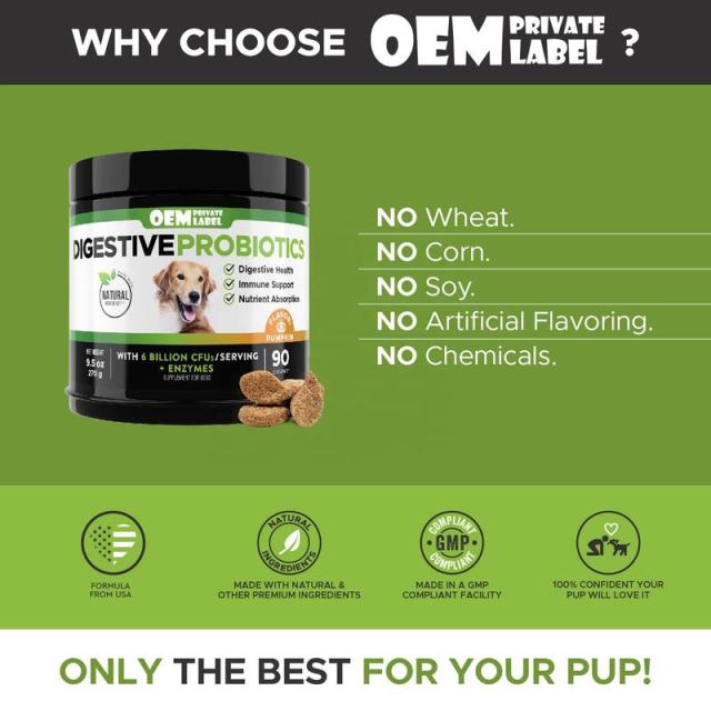 OEM Factory Probiotic Chews For Dogs 6 Billion CFU Per Serving Digestive Health Immune Support Nutrient Absorption Skin Coat Support Itchy Skin Relief Seasonal Allergies Carrot Pumpkin Sweet Potato Flaxseed Chicken Flavor 100 Chews,MY SHOP,OEM Factory Probiotic Chews For Dogs 6 Billion CFU Per Serving Digestive Health Immune Support Nutrient Absorption Skin Coat Support Itchy Skin Relief Seasonal Allergies Carrot Pumpkin Sweet Potato Flaxseed Chicken Flavor 100 Chews