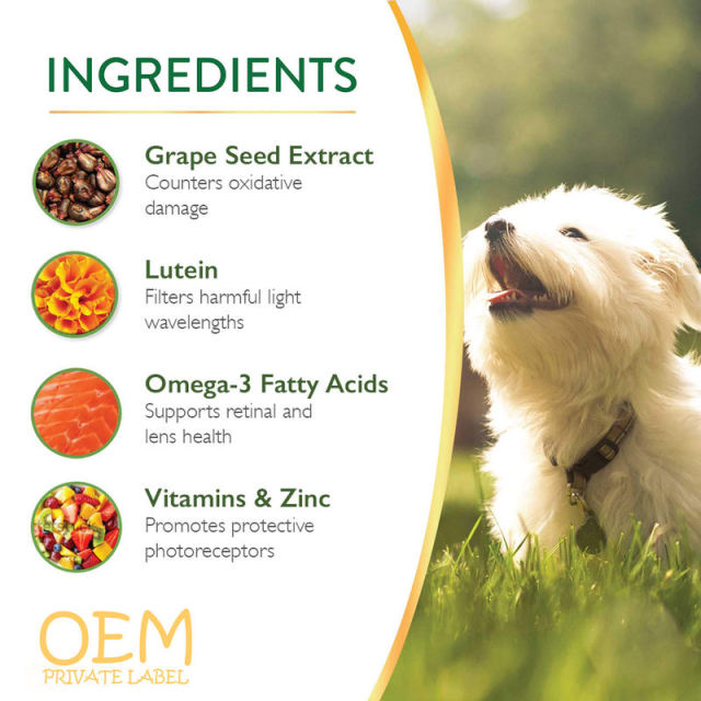 OEM Factory Veterinary Eye Health Soft Chews For Dogs Mature Cats Grape Seed Extract Lutein Omega-3 Fatty Acids Optimal Vision Support Ocular Health Antioxidants Hypoallergenic No Wheat Corn Chicken 60 Chews,MY SHOP,OEM Factory Veterinary Eye Health Soft Chews For Dogs Mature Cats Grape Seed Extract Lutein Omega-3 Fatty Acids Optimal Vision Support Ocular Health Antioxidants Hypoallergenic No Wheat Corn Chicken 60 Chews
