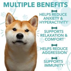 EM Factory Hemp Calming Chews For Dogs Stress Anxiety Relief Duck Flavor Hemp Oil Chamomile Extract Valerian Root Promotes Relaxation Calmness Supports Balanced Behavior Fireworks Vet Visits Road Trips Loud Noises 180 Chews 360g 12.7oz,MY SHOP,EM Factory Hemp Calming Chews For Dogs Stress Anxiety Relief Duck Flavor Hemp Oil Chamomile Extract Valerian Root Promotes Relaxation Calmness Supports Balanced Behavior Fireworks Vet Visits Road Trips Loud Noises 180 Chews 360g 12.7oz