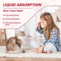 OEM Factory Liquid Iron Supplement For Dogs Cats With Vitamin B12 C B6 A D3 B1 B2 B5 Folic Acid Glucosamine Cranberry MSM Chondroitin Supports Optimal Iron Levels Blood Cell Formation Oxygen Supply Energy Vitality Chicken Flavor 60ml,MY SHOP,OEM Factory Liquid Iron Supplement For Dogs Cats With Vitamin B12 C B6 A D3 B1 B2 B5 Folic Acid Glucosamine Cranberry MSM Chondroitin Supports Optimal Iron Levels Blood Cell Formation Oxygen Supply Energy Vitality Chicken Flavor 60ml