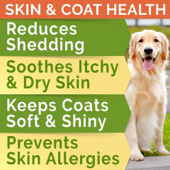 OEM Factory Omega Treats For Dogs Cats With Salmon Oil Omega-3 Omega-6 DHA EPA Low Filler Ingredients High Nutrition Content Promotes Healthy Skin Coat Joint Heart Brain Immune Support 180 Soft Chews,MY SHOP,OEM Factory Omega Treats For Dogs Cats With Salmon Oil Omega-3 Omega-6 DHA EPA Low Filler Ingredients High Nutrition Content Promotes Healthy Skin Coat Joint Heart Brain Immune Support 180 Soft Chews