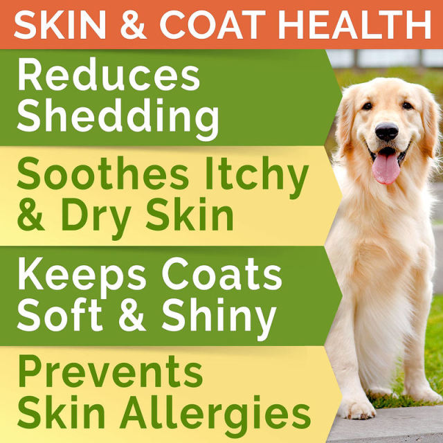 OEM Factory Omega Treats For Dogs Cats With Salmon Oil Omega-3 Omega-6 DHA EPA Low Filler Ingredients High Nutrition Content Promotes Healthy Skin Coat Joint Heart Brain Immune Support 180 Soft Chews,MY SHOP,OEM Factory Omega Treats For Dogs Cats With Salmon Oil Omega-3 Omega-6 DHA EPA Low Filler Ingredients High Nutrition Content Promotes Healthy Skin Coat Joint Heart Brain Immune Support 180 Soft Chews