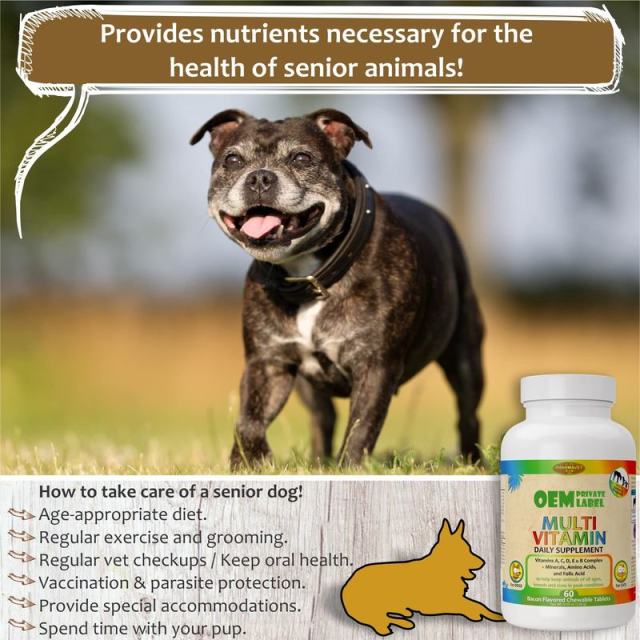 OEM Factory Multi Vitamin Daily Supplement For Dogs Cats Vitamins A C D E B Complex Minerals Amino Acids Folic Acid Supports Immune System Peak Condition Prenatal Reproduction Lactation Senior Health All Ages Breeds Sizes 60 Tablets 116g,MY SHOP,OEM Factory Multi Vitamin Daily Supplement For Dogs Cats Vitamins A C D E B Complex Minerals Amino Acids Folic Acid Supports Immune System Peak Condition Prenatal Reproduction Lactation Senior Health All Ages Breeds Sizes 60 Tablets 116g