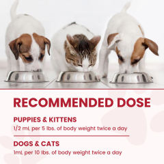 OEM Factory Liquid Iron Supplement For Dogs Cats With Vitamin B12 C B6 A D3 B1 B2 B5 Folic Acid Glucosamine Cranberry MSM Chondroitin Supports Optimal Iron Levels Blood Cell Formation Oxygen Supply Energy Vitality Chicken Flavor 60ml,MY SHOP,OEM Factory Liquid Iron Supplement For Dogs Cats With Vitamin B12 C B6 A D3 B1 B2 B5 Folic Acid Glucosamine Cranberry MSM Chondroitin Supports Optimal Iron Levels Blood Cell Formation Oxygen Supply Energy Vitality Chicken Flavor 60ml