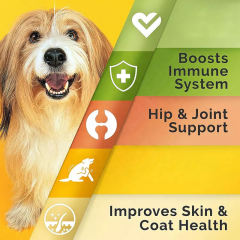 OEM Factory Wild Alaskan Salmon Oil Soft Chews For Dogs Omega-3-6-9 With DHA EPA Algae Vitamins C E Biotin Zinc Skin Coat Health Joint Support Immune System 12150mg Omega-3 90 Soft Chews,MY SHOP,OEM Factory Wild Alaskan Salmon Oil Soft Chews For Dogs Omega-3-6-9 With DHA EPA Algae Vitamins C E Biotin Zinc Skin Coat Health Joint Support Immune System 12150mg Omega-3 90 Soft Chews