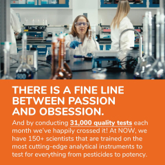 OEM Factory Psyllium Husk Capsules 500mg Per Capsule Natural Soluble Fiber Intestinal Health Support Promotes Regularity Digestive Wellness Gentle Cleansing Plant-Based Fiber Vegetarian Formula 200 Veg Capsules,MY SHOP,OEM Factory Psyllium Husk Capsules 500mg Per Capsule Natural Soluble Fiber Intestinal Health Support Promotes Regularity Digestive Wellness Gentle Cleansing Plant-Based Fiber Vegetarian Formula 200 Veg Capsules