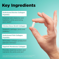 OEM Factory Multi Collagen Complex Capsules Type I II III V X 5 Essential Collagen Types Per Serving Hair Nails Growth Skin Enhancement Joint Support Youthful Skin Elasticity Firmness Resilient Nails Optimal Joint Flexibility 150 Capsules,MY SHOP,OEM Factory Multi Collagen Complex Capsules Type I II III V X 5 Essential Collagen Types Per Serving Hair Nails Growth Skin Enhancement Joint Support Youthful Skin Elasticity Firmness Resilient Nails Optimal Joint Flexibility 150 Capsules