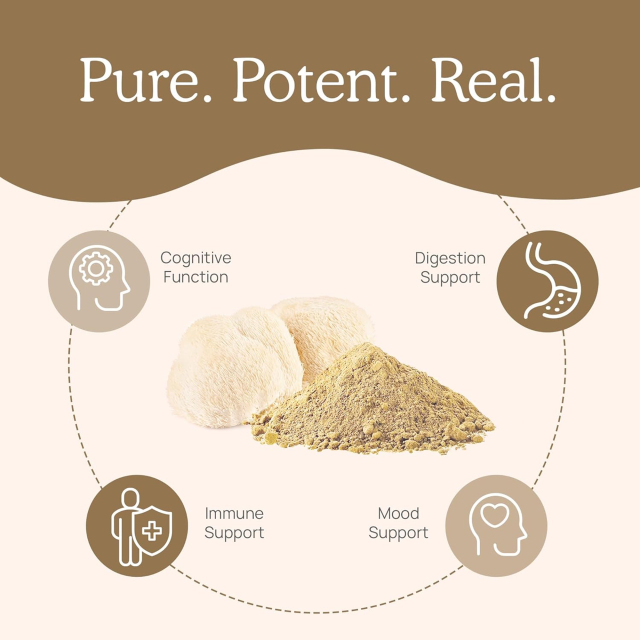OEM Factory Organic Lion's Mane Mushroom Extract Capsules 1000mg Per Serving 300mg Beta Glucans Cognitive Memory Focus Nerve Health Brain Support No Fillers Vegan Non-GMO Gluten Free 300 Count,MY SHOP,OEM Factory Organic Lion's Mane Mushroom Extract Capsules 1000mg Per Serving 300mg Beta Glucans Cognitive Memory Focus Nerve Health Brain Support No Fillers Vegan Non-GMO Gluten Free 300 Count