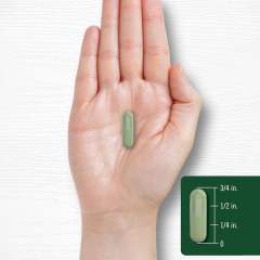 OEM Factory Moringa Capsules Complete Green Superfood 6000mg Equivalent Per Serving Moringa Leaf Powder And 50:1 Extract Blend Naturally Occurring Vitamins Minerals Phytonutrients Traditional Herb Non-GMO Gluten Free Quick Release 180 Capsules,MY SHOP,OEM Factory Moringa Capsules Complete Green Superfood 6000mg Equivalent Per Serving Moringa Leaf Powder And 50:1 Extract Blend Naturally Occurring Vitamins Minerals Phytonutrients Traditional Herb Non-GMO Gluten Free Quick Release 180 Capsules