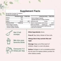 OEM Factory Multi Collagen Peptides Powder Hydrolyzed Type I II III V X Marine Bovine Chicken Eggshell Membrane Collagen Hyaluronic Acid Vitamin C Biotin Unflavored Easy Mix Soy Free Dairy Free Gluten Free 907g 2lb 82 Servings,MY SHOP,OEM Factory Multi Collagen Peptides Powder Hydrolyzed Type I II III V X Marine Bovine Chicken Eggshell Membrane Collagen Hyaluronic Acid Vitamin C Biotin Unflavored Easy Mix Soy Free Dairy Free Gluten Free 907g 2lb 82 Servings