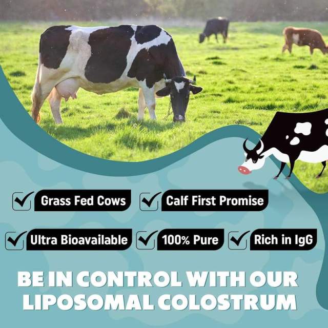 OEM Factory Liposomal Colostrum Powder 2500mg Per Serving 60% IgG Standardized Ultra Bioavailability 10x Higher Absorption Phosphatidylcholine Liposomal Encapsulation Grass Fed Soy Free Gluten Free 150g 60 Servings,MY SHOP,OEM Factory Liposomal Colostrum Powder 2500mg Per Serving 60% IgG Standardized Ultra Bioavailability 10x Higher Absorption Phosphatidylcholine Liposomal Encapsulation Grass Fed Soy Free Gluten Free 150g 60 Servings
