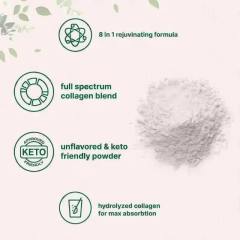 OEM Factory Multi Collagen Peptides Powder Hydrolyzed Type I II III V X Marine Bovine Chicken Eggshell Membrane Collagen Hyaluronic Acid Vitamin C Biotin Unflavored Easy Mix Soy Free Dairy Free Gluten Free 907g 2lb 82 Servings,MY SHOP,OEM Factory Multi Collagen Peptides Powder Hydrolyzed Type I II III V X Marine Bovine Chicken Eggshell Membrane Collagen Hyaluronic Acid Vitamin C Biotin Unflavored Easy Mix Soy Free Dairy Free Gluten Free 907g 2lb 82 Servings