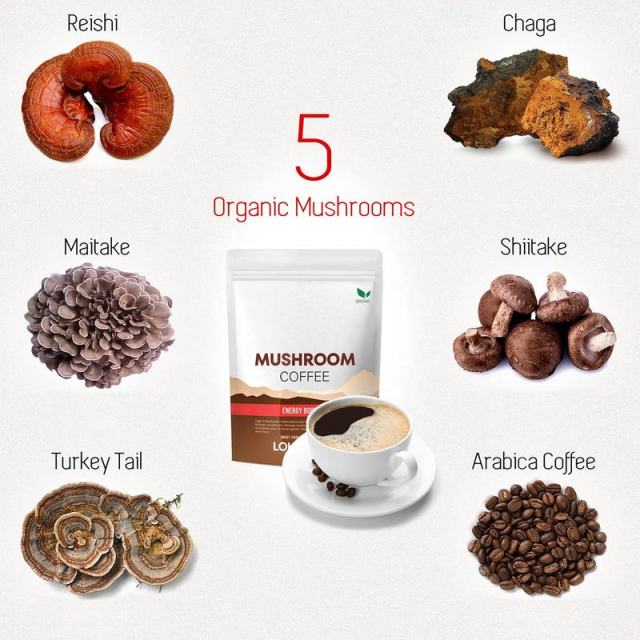 OEM Factory Organic Mushroom Coffee Energy Booster Reishi Chaga Maitake Shiitake Turkey Tail Mushrooms Arabica Instant Coffee Strengthens Immune System Boosts Energy Lowers Cholesterol 50 Servings 100g,MY SHOP,OEM Factory Organic Mushroom Coffee Energy Booster Reishi Chaga Maitake Shiitake Turkey Tail Mushrooms Arabica Instant Coffee Strengthens Immune System Boosts Energy Lowers Cholesterol 50 Servings 100g