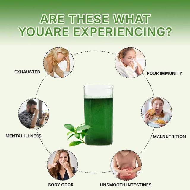 OEM Factory High Potency Chlorophyll Powder Crisp Apple Flavor With Prebiotic Inulin Wheatgrass Natural Detoxification Powerful Antioxidant Neutralizes Body Odor Supports Overall Health Sugar Free Vegan Non-GMO 30 Servings 90g,MY SHOP,OEM Factory High Potency Chlorophyll Powder Crisp Apple Flavor With Prebiotic Inulin Wheatgrass Natural Detoxification Powerful Antioxidant Neutralizes Body Odor Supports Overall Health Sugar Free Vegan Non-GMO 30 Servings 90g