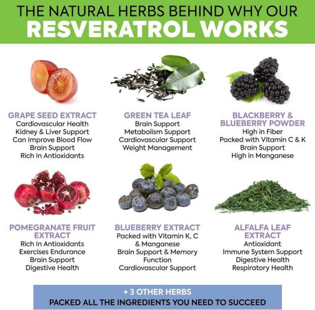 OEM Factory Extra Strength Resveratrol Blend 180 Capsules With Grape Seed Extract Green Tea Blackberry Blueberry Pomegranate Alfalfa 9 Powerful Herbs Supports Cardiovascular Health Anti-Aging Antioxidant Properties Skin Health Brain Support,MY SHOP,OEM Factory Extra Strength Resveratrol Blend 180 Capsules With Grape Seed Extract Green Tea Blackberry Blueberry Pomegranate Alfalfa 9 Powerful Herbs Supports Cardiovascular Health Anti-Aging Antioxidant Properties Skin Health Brain Support
