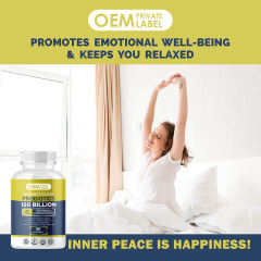 OEM Factory Ultimate Blend Probiotics 150 Billion CFU With Prebiotics Organic Jerusalem Artichoke Chicory Gum Arabic Digestive Enzymes Glucoamylase Amylase Lipase Protease Fruit Veggie Blend Urinary Tract Health D-Mannose Cranberry 150 Capsules,MY SHOP,OEM Factory Ultimate Blend Probiotics 150 Billion CFU With Prebiotics Organic Jerusalem Artichoke Chicory Gum Arabic Digestive Enzymes Glucoamylase Amylase Lipase Protease Fruit Veggie Blend Urinary Tract Health D-Mannose Cranberry 150 Capsules