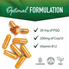 OEM Factory PQQ Capsules 20mg Pyrroloquinoline Quinone With CoQ10 200mg Vitamin B12 Methylcobalamin Supports Cognition Mitochondrial Biogenesis Energy Levels Cellular Health Vegan Non-GMO Gluten Free 60 Capsules,MY SHOP,OEM Factory PQQ Capsules 20mg Pyrroloquinoline Quinone With CoQ10 200mg Vitamin B12 Methylcobalamin Supports Cognition Mitochondrial Biogenesis Energy Levels Cellular Health Vegan Non-GMO Gluten Free 60 Capsules