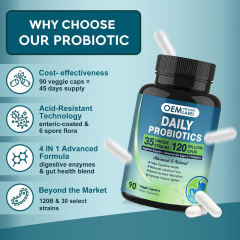 Private Label Manufacturer Complete Probiotic 120 Billion CFU 35 Strains Plus Digestive Enzymes Lipase Amylase Lactase Cellulase Papain Advanced Gut Support L-Glutamine Betaine Ginger Slippery Elm Peppermint Organic Prebiotics 90 Veggie Capsules,MY SHOP,Private Label Manufacturer Complete Probiotic 120 Billion CFU 35 Strains Plus Digestive Enzymes Lipase Amylase Lactase Cellulase Papain Advanced Gut Support L-Glutamine Betaine Ginger Slippery Elm Peppermint Organic Prebiotics 90 Veggie Capsules