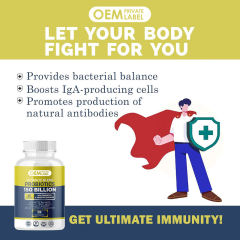 OEM Factory Ultimate Blend Probiotics 150 Billion CFU With Prebiotics Organic Jerusalem Artichoke Chicory Gum Arabic Digestive Enzymes Glucoamylase Amylase Lipase Protease Fruit Veggie Blend Urinary Tract Health D-Mannose Cranberry 150 Capsules,MY SHOP,OEM Factory Ultimate Blend Probiotics 150 Billion CFU With Prebiotics Organic Jerusalem Artichoke Chicory Gum Arabic Digestive Enzymes Glucoamylase Amylase Lipase Protease Fruit Veggie Blend Urinary Tract Health D-Mannose Cranberry 150 Capsules