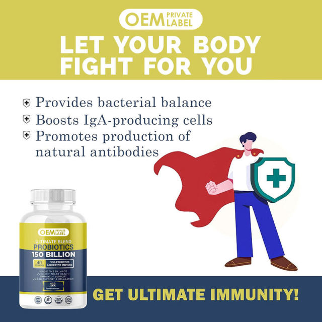 OEM Factory Ultimate Blend Probiotics 150 Billion CFU With Prebiotics Organic Jerusalem Artichoke Chicory Gum Arabic Digestive Enzymes Glucoamylase Amylase Lipase Protease Fruit Veggie Blend Urinary Tract Health D-Mannose Cranberry 150 Capsules,MY SHOP,OEM Factory Ultimate Blend Probiotics 150 Billion CFU With Prebiotics Organic Jerusalem Artichoke Chicory Gum Arabic Digestive Enzymes Glucoamylase Amylase Lipase Protease Fruit Veggie Blend Urinary Tract Health D-Mannose Cranberry 150 Capsules