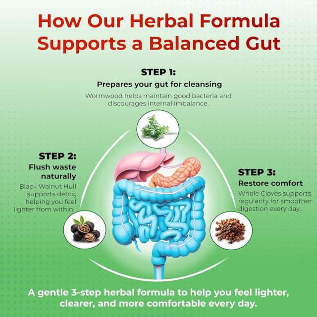 OEM Factory Wormwood Black Walnut Whole Cloves All-in-1 Supplement With Ginger Milk Thistle Turmeric Black Pepper 3x Absorption Support Liver Health Digestion Aids Bloating Relief Digestive Comfort 150 Capsules,MY SHOP,OEM Factory Wormwood Black Walnut Whole Cloves All-in-1 Supplement With Ginger Milk Thistle Turmeric Black Pepper 3x Absorption Support Liver Health Digestion Aids Bloating Relief Digestive Comfort 150 Capsules