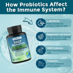 Private Label Manufacturer Complete Probiotic 120 Billion CFU 35 Strains Plus Digestive Enzymes Lipase Amylase Lactase Cellulase Papain Advanced Gut Support L-Glutamine Betaine Ginger Slippery Elm Peppermint Organic Prebiotics 90 Veggie Capsules,MY SHOP,Private Label Manufacturer Complete Probiotic 120 Billion CFU 35 Strains Plus Digestive Enzymes Lipase Amylase Lactase Cellulase Papain Advanced Gut Support L-Glutamine Betaine Ginger Slippery Elm Peppermint Organic Prebiotics 90 Veggie Capsules