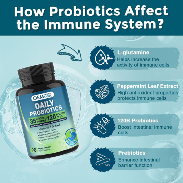 Private Label Manufacturer Complete Probiotic 120 Billion CFU 35 Strains Plus Digestive Enzymes Lipase Amylase Lactase Cellulase Papain Advanced Gut Support L-Glutamine Betaine Ginger Slippery Elm Peppermint Organic Prebiotics 90 Veggie Capsules,MY SHOP,Private Label Manufacturer Complete Probiotic 120 Billion CFU 35 Strains Plus Digestive Enzymes Lipase Amylase Lactase Cellulase Papain Advanced Gut Support L-Glutamine Betaine Ginger Slippery Elm Peppermint Organic Prebiotics 90 Veggie Capsules
