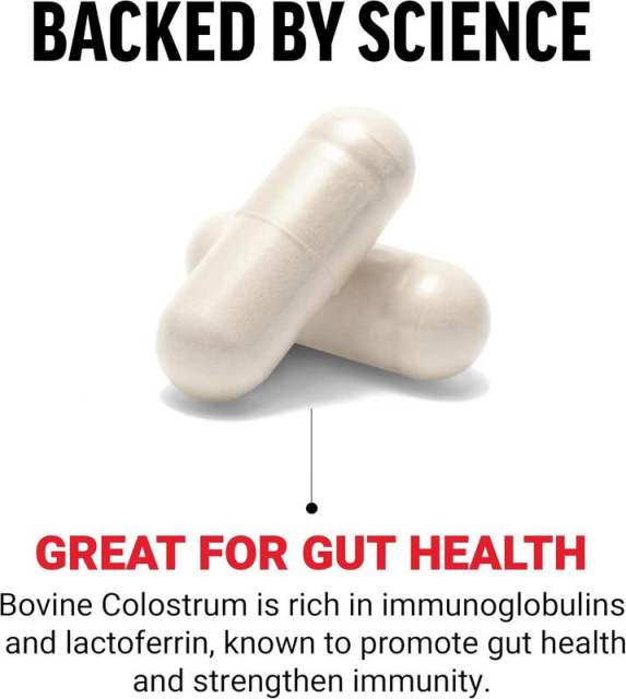 OEM Factory Bovine Colostrum Capsules 500mg Per Serving Standardized Immunoglobulin Proteins Lactoferrin Supports Healthy Immune Function Gut Health Antibiotic Free Hormone Free Non-GMO 120 Capsules,MY SHOP,OEM Factory Bovine Colostrum Capsules 500mg Per Serving Standardized Immunoglobulin Proteins Lactoferrin Supports Healthy Immune Function Gut Health Antibiotic Free Hormone Free Non-GMO 120 Capsules