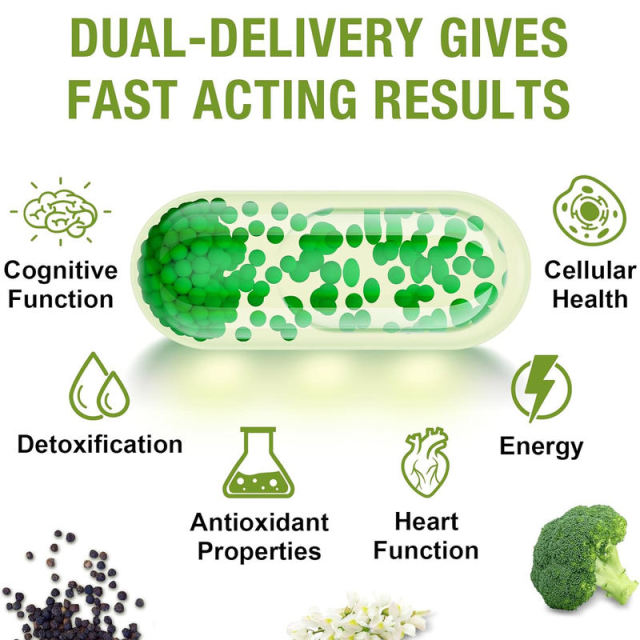 OEM Factory Liposomal Sulforaphane Softgels 800mg Sulforaphane From Broccoli Sprout Full Spectrum Broccoli Extract 200mg Quercetin 100mg Black Pepper 10mg Liposomal Technology Maximum Absorption Antioxidant Detox 60 Softgels,MY SHOP,OEM Factory Liposomal Sulforaphane Softgels 800mg Sulforaphane From Broccoli Sprout Full Spectrum Broccoli Extract 200mg Quercetin 100mg Black Pepper 10mg Liposomal Technology Maximum Absorption Antioxidant Detox 60 Softgels