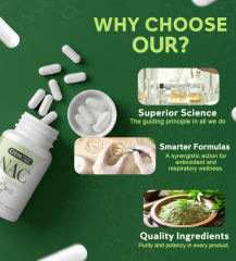 OEM Factory NAC 4-in-1 Capsules N-Acetyl Cysteine 1200mg With Bromelain 100mg Selenium 50mcg Glycine 100mg Supports Respiratory Function Reduces Oxidative Stress Antioxidant Support Vegan 90 Capsules 45 Servings,MY SHOP,OEM Factory NAC 4-in-1 Capsules N-Acetyl Cysteine 1200mg With Bromelain 100mg Selenium 50mcg Glycine 100mg Supports Respiratory Function Reduces Oxidative Stress Antioxidant Support Vegan 90 Capsules 45 Servings