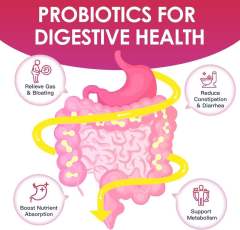 OEM Factory Women's Probiotics 120 Billion CFU 31 Unique Strains D-Mannose 200mg Organic Cranberry 200mg Urinary Tract Cleanse Prebiotic Fiber Vitamin C 60mg Super Digestive Enzymes Vaginal Health pH Balance Immune Support 90 Veggie Capsules,MY SHOP,OEM Factory Women's Probiotics 120 Billion CFU 31 Unique Strains D-Mannose 200mg Organic Cranberry 200mg Urinary Tract Cleanse Prebiotic Fiber Vitamin C 60mg Super Digestive Enzymes Vaginal Health pH Balance Immune Support 90 Veggie Capsules