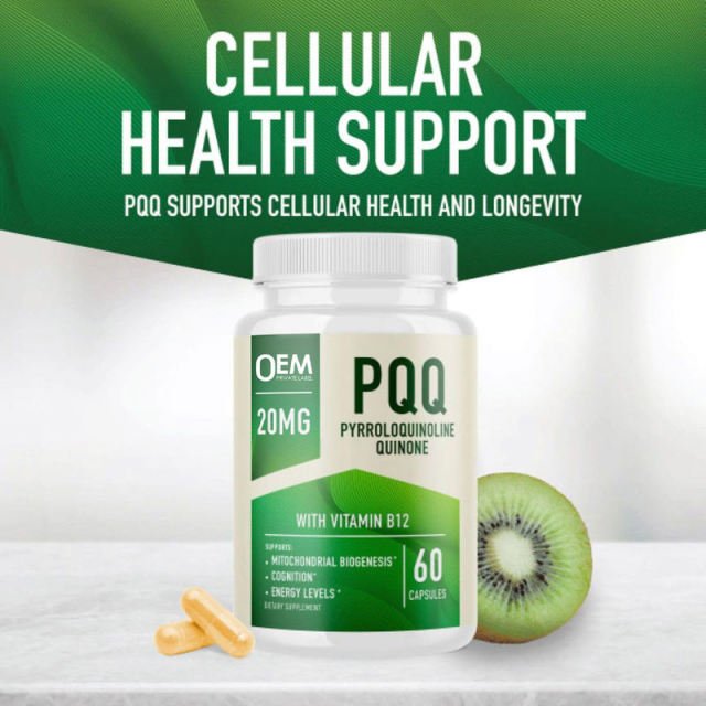 OEM Factory PQQ Capsules 20mg Pyrroloquinoline Quinone With CoQ10 200mg Vitamin B12 Methylcobalamin Supports Cognition Mitochondrial Biogenesis Energy Levels Cellular Health Vegan Non-GMO Gluten Free 60 Capsules,MY SHOP,OEM Factory PQQ Capsules 20mg Pyrroloquinoline Quinone With CoQ10 200mg Vitamin B12 Methylcobalamin Supports Cognition Mitochondrial Biogenesis Energy Levels Cellular Health Vegan Non-GMO Gluten Free 60 Capsules