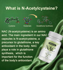 OEM Factory NAC 4-in-1 Capsules N-Acetyl Cysteine 1200mg With Bromelain 100mg Selenium 50mcg Glycine 100mg Supports Respiratory Function Reduces Oxidative Stress Antioxidant Support Vegan 90 Capsules 45 Servings,MY SHOP,OEM Factory NAC 4-in-1 Capsules N-Acetyl Cysteine 1200mg With Bromelain 100mg Selenium 50mcg Glycine 100mg Supports Respiratory Function Reduces Oxidative Stress Antioxidant Support Vegan 90 Capsules 45 Servings