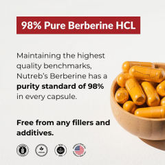 OEM Factory Berberine HCl Capsules 1200mg Per Serving With BioPerine Black Pepper Extract 5mg 5x Higher Absorption Supports Healthy Blood Sugar Weight Management Powerful Antioxidant Activity Vegan 60 Veggie Capsules,MY SHOP,OEM Factory Berberine HCl Capsules 1200mg Per Serving With BioPerine Black Pepper Extract 5mg 5x Higher Absorption Supports Healthy Blood Sugar Weight Management Powerful Antioxidant Activity Vegan 60 Veggie Capsules