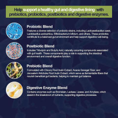 OEM Factory Complete Gut Health Capsules 80 Billion Probiotics Prebiotics Postbiotics Digestive Enzymes L-Glutamine Berberine Cinnamon Garlic Aloe Vera Zinc L-Carnosine Magnesium N-Acetyl-D-Glucosamine Peppermint Fenugreek Ginger Artichoke 120 Capsules,MY SHOP,OEM Factory Complete Gut Health Capsules 80 Billion Probiotics Prebiotics Postbiotics Digestive Enzymes L-Glutamine Berberine Cinnamon Garlic Aloe Vera Zinc L-Carnosine Magnesium N-Acetyl-D-Glucosamine Peppermint Fenugreek Ginger Artichoke 120 Capsules