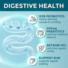 Private Label Manufacturer Complete Probiotic 120 Billion CFU 35 Strains Plus Digestive Enzymes Lipase Amylase Lactase Cellulase Papain Advanced Gut Support L-Glutamine Betaine Ginger Slippery Elm Peppermint Organic Prebiotics 90 Veggie Capsules,MY SHOP,Private Label Manufacturer Complete Probiotic 120 Billion CFU 35 Strains Plus Digestive Enzymes Lipase Amylase Lactase Cellulase Papain Advanced Gut Support L-Glutamine Betaine Ginger Slippery Elm Peppermint Organic Prebiotics 90 Veggie Capsules
