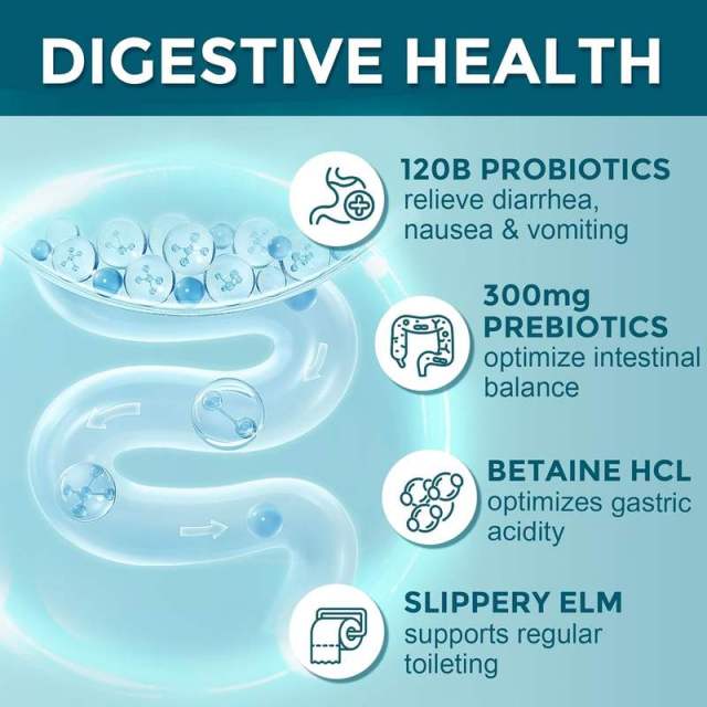 Private Label Manufacturer Complete Probiotic 120 Billion CFU 35 Strains Plus Digestive Enzymes Lipase Amylase Lactase Cellulase Papain Advanced Gut Support L-Glutamine Betaine Ginger Slippery Elm Peppermint Organic Prebiotics 90 Veggie Capsules,MY SHOP,Private Label Manufacturer Complete Probiotic 120 Billion CFU 35 Strains Plus Digestive Enzymes Lipase Amylase Lactase Cellulase Papain Advanced Gut Support L-Glutamine Betaine Ginger Slippery Elm Peppermint Organic Prebiotics 90 Veggie Capsules