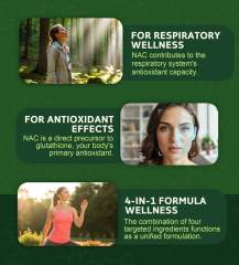 OEM Factory NAC 4-in-1 Capsules N-Acetyl Cysteine 1200mg With Bromelain 100mg Selenium 50mcg Glycine 100mg Supports Respiratory Function Reduces Oxidative Stress Antioxidant Support Vegan 90 Capsules 45 Servings,MY SHOP,OEM Factory NAC 4-in-1 Capsules N-Acetyl Cysteine 1200mg With Bromelain 100mg Selenium 50mcg Glycine 100mg Supports Respiratory Function Reduces Oxidative Stress Antioxidant Support Vegan 90 Capsules 45 Servings