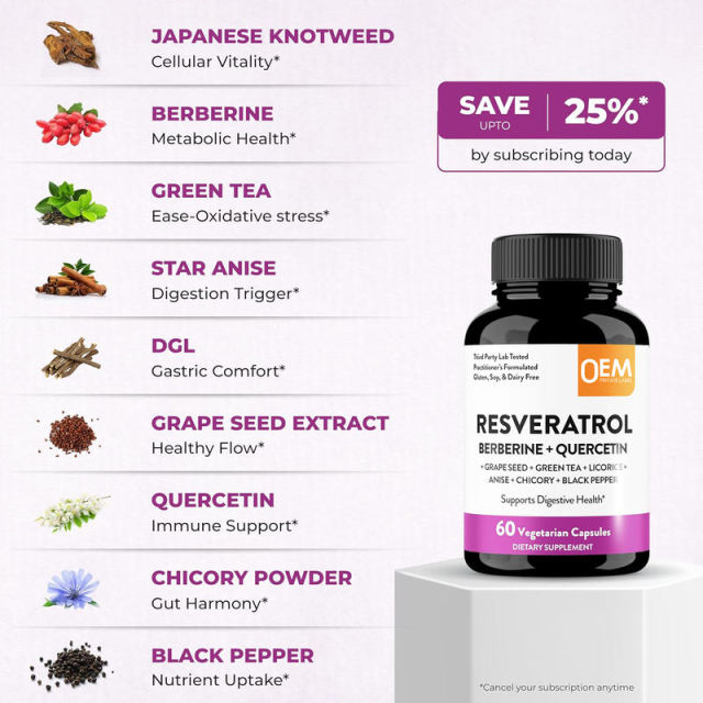 One-Stop OEM Service Resveratrol Berberine Quercetin Formula 600mg Japanese Knotweed Extract 200mg Berberine HCL 150mg Quercetin Grape Seed Green Tea Licorice Anise Chicory Black Pepper Digestive Health 60 Capsules,MY SHOP,One-Stop OEM Service Resveratrol Berberine Quercetin Formula 600mg Japanese Knotweed Extract 200mg Berberine HCL 150mg Quercetin Grape Seed Green Tea Licorice Anise Chicory Black Pepper Digestive Health 60 Capsules
