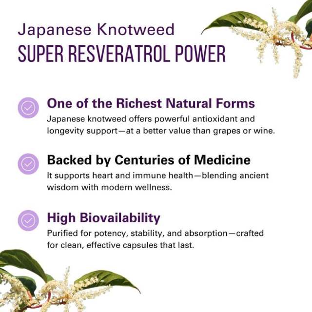 OEM Factory Private Label Resveratrol Capsules 605mg Trans-Resveratrol From Japanese Knotweed Polygonum Cuspidatum Root Extract Heart Health Cardiovascular Support Immune Function Antioxidant 60 Vegan Capsules,MY SHOP,OEM Factory Private Label Resveratrol Capsules 605mg Trans-Resveratrol From Japanese Knotweed Polygonum Cuspidatum Root Extract Heart Health Cardiovascular Support Immune Function Antioxidant 60 Vegan Capsules
