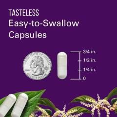 OEM Factory Private Label Resveratrol Capsules 605mg Trans-Resveratrol From Japanese Knotweed Polygonum Cuspidatum Root Extract Heart Health Cardiovascular Support Immune Function Antioxidant 60 Vegan Capsules,MY SHOP,OEM Factory Private Label Resveratrol Capsules 605mg Trans-Resveratrol From Japanese Knotweed Polygonum Cuspidatum Root Extract Heart Health Cardiovascular Support Immune Function Antioxidant 60 Vegan Capsules